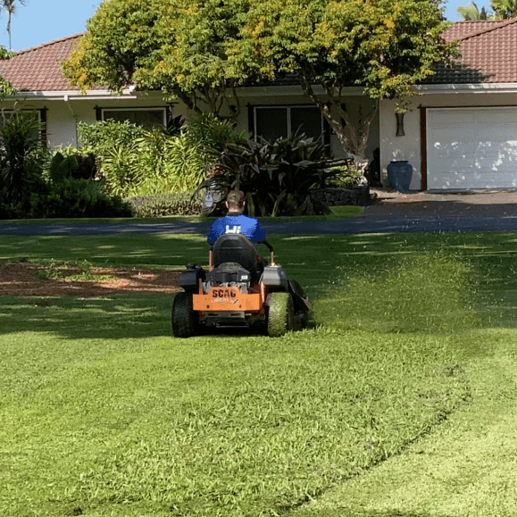 Hawaii  Landscaping